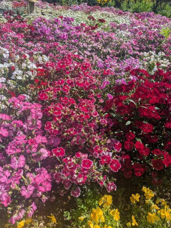 少し出勤変わるかも🌸