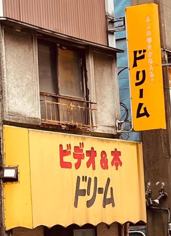 大人の夢🩷