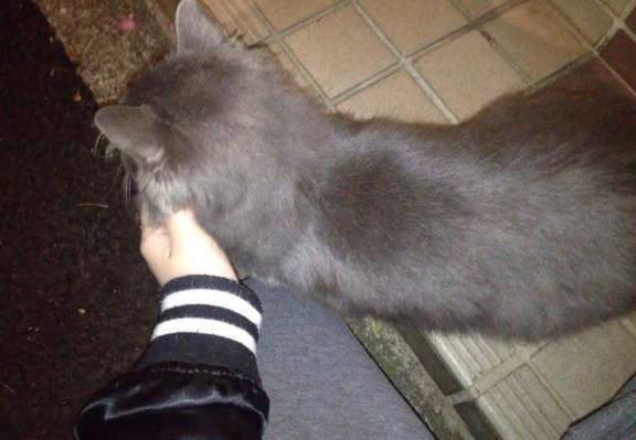 激カワの子見つけた👀💕