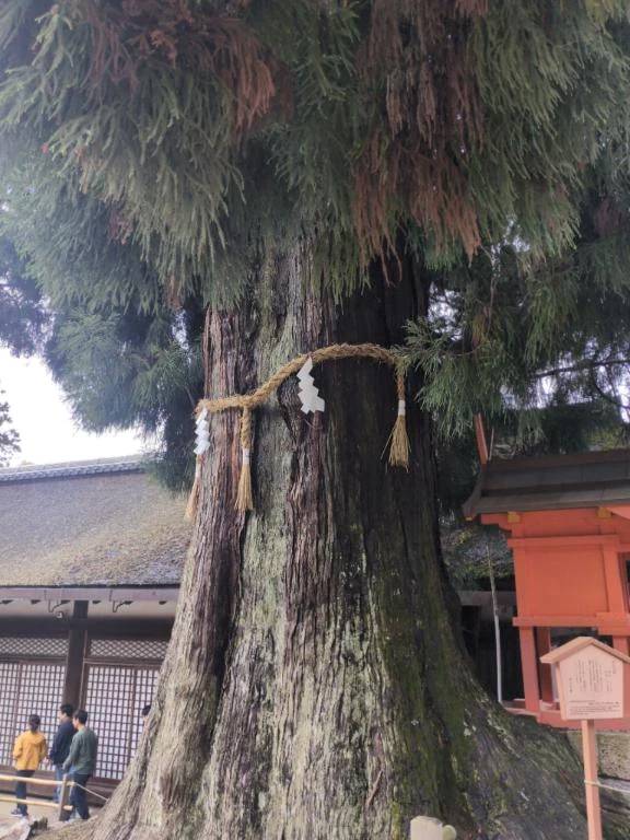 地球温暖化🌍️について考える。。