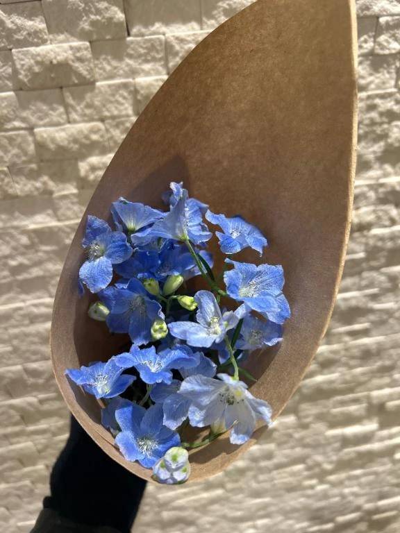 買っちゃった🧸🌷
