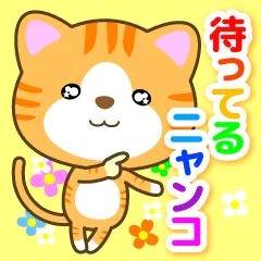ポチ