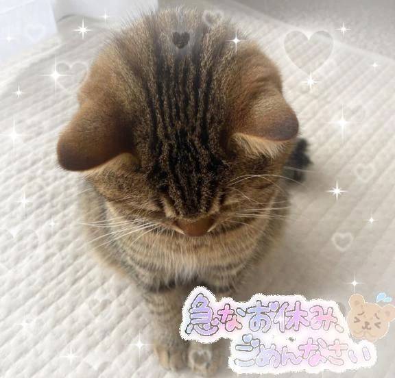 お休みごめんなさい✽次回出勤6/16(火)です