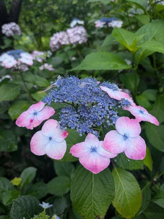 出勤時間変更します💠✨