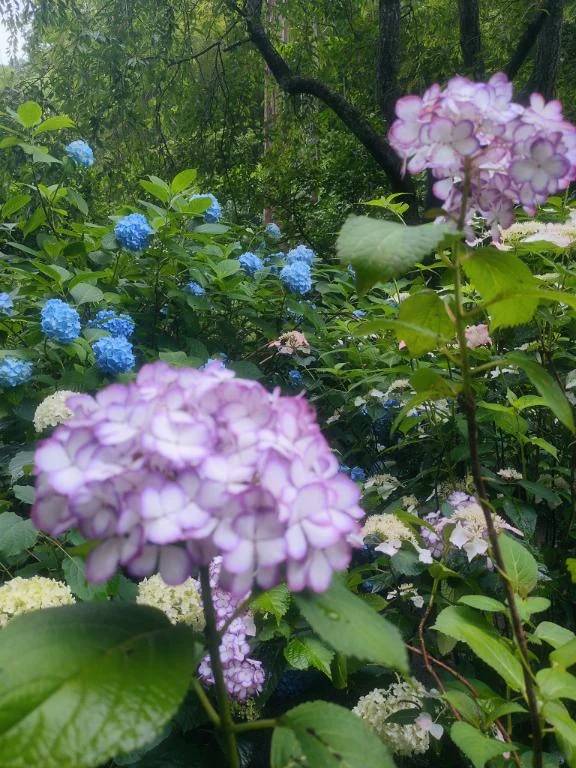 受付終了です💓💐🌷✨