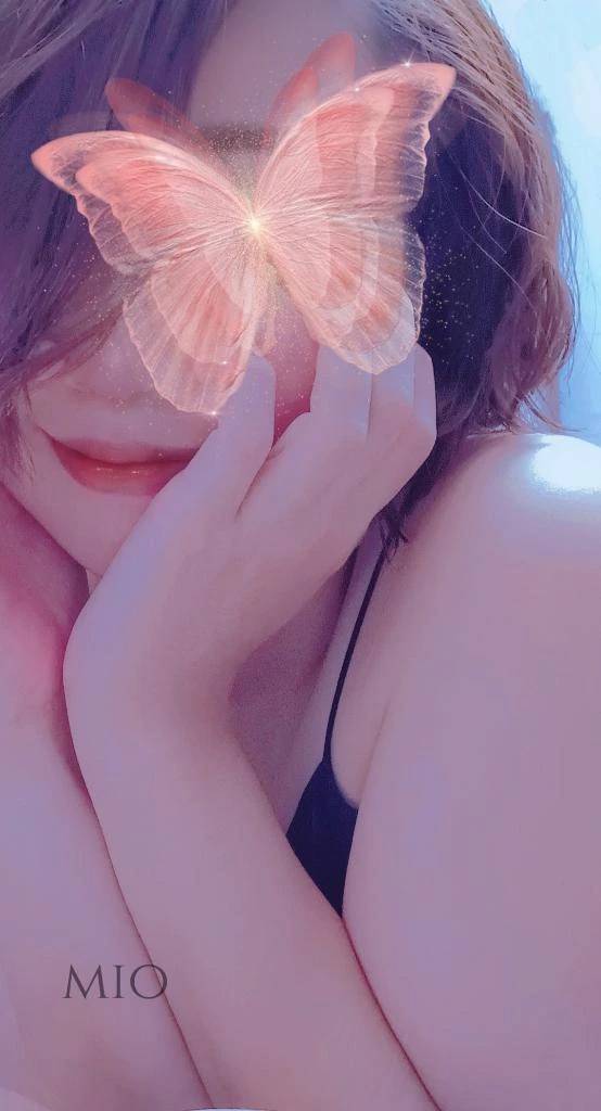 とうちゃーく💨