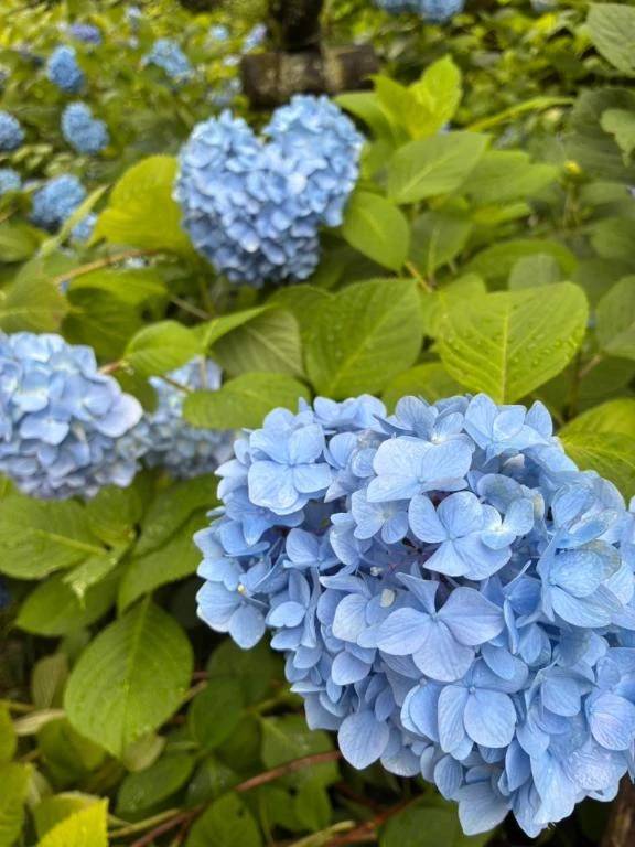 さきほどはありがとう🩷