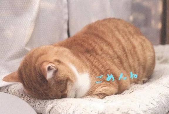 お休み