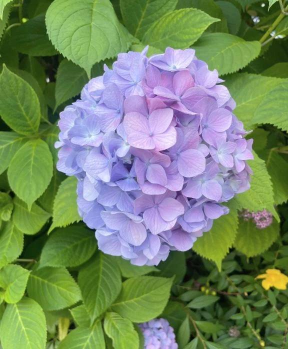 昨日のお礼です💌ありがとう