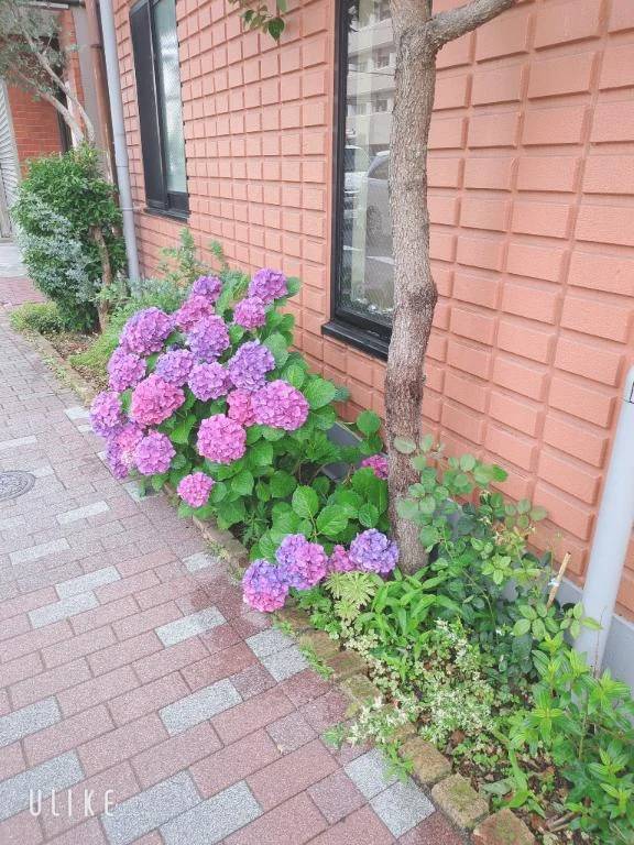 ハマってます♡
