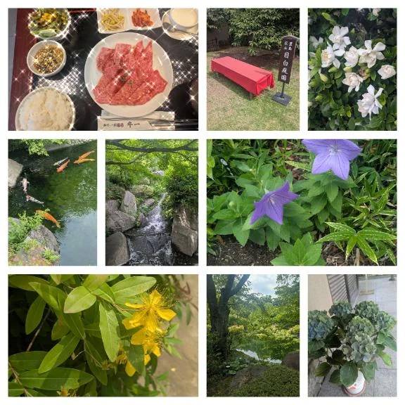 口コミありがとう🩷【お礼写メ日記】