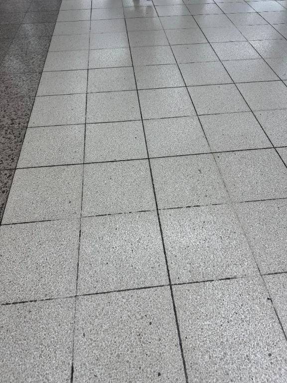 彷徨ってた