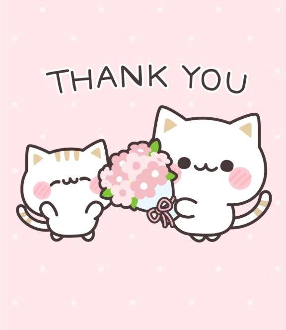 いつも♡