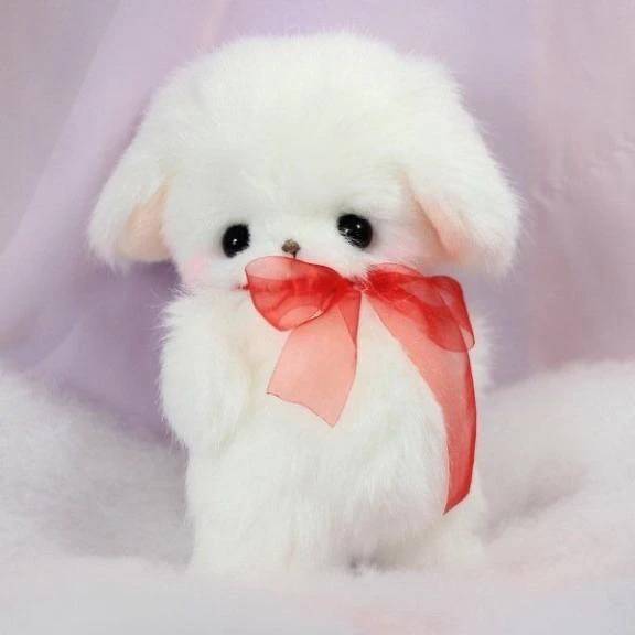 お兄様方૮ ⑅﻿•ܸ · •ܸ⑅﻿ ა