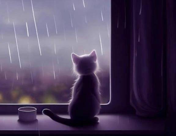 ゲリラ豪雨☂️
