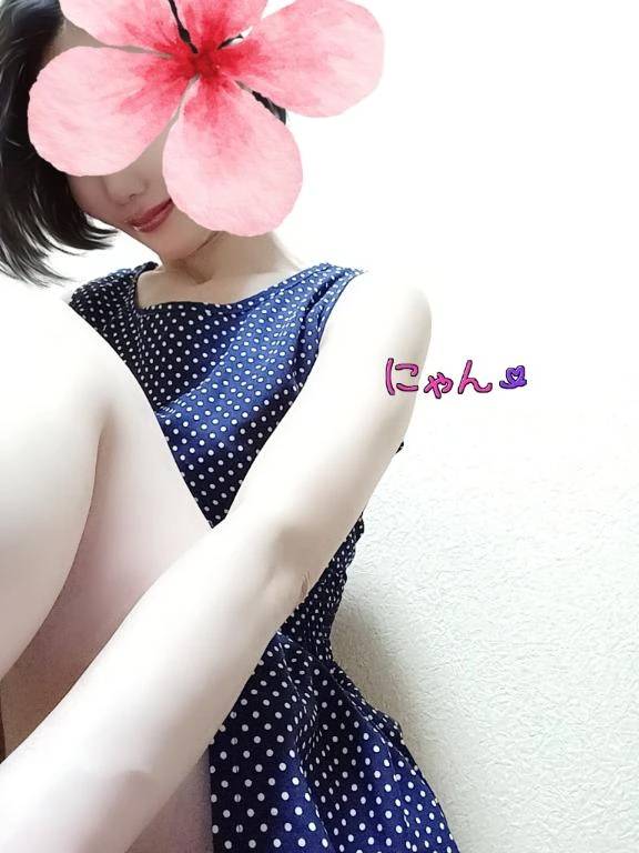 Sさま キャッツ201　7/25
