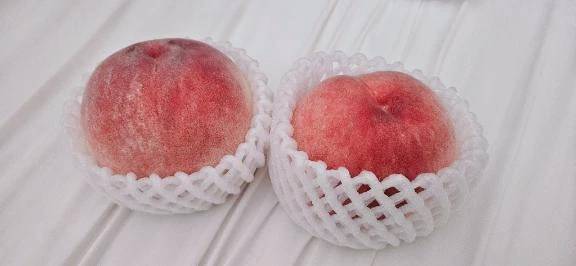 🍑🍡