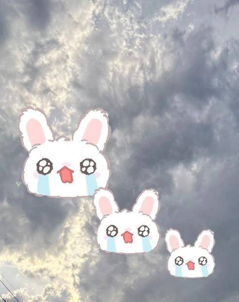 申し訳ございません