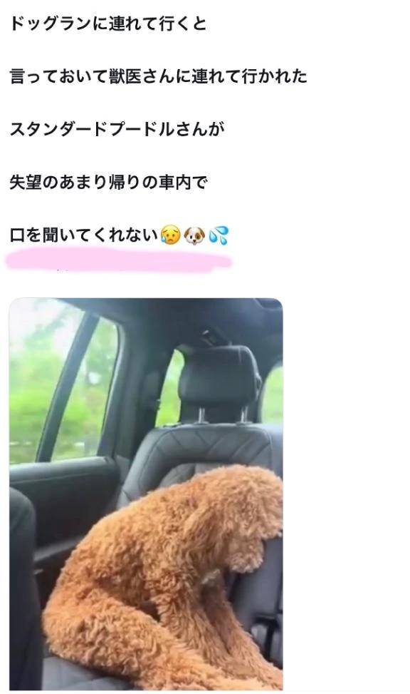 【朝から元気になる✨】