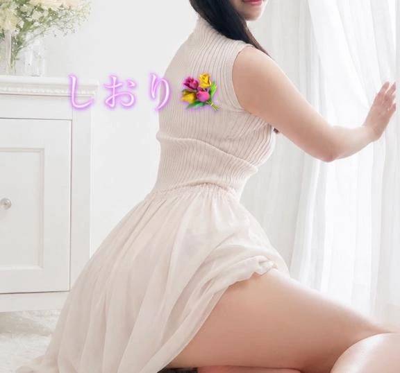 🌻 夏の朝に包まれて 🌻