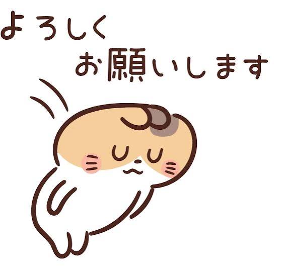 今日の分