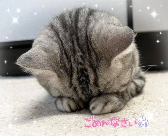 金・土はお休みします