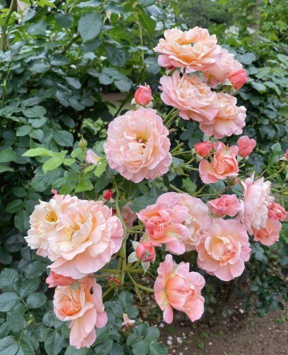 昨日のお礼です💌