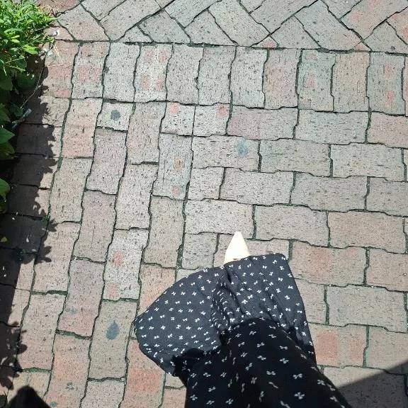 おはようございます☀️