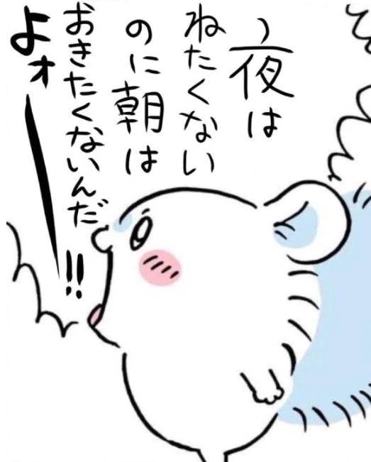こんばんわ