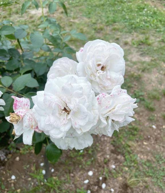 お礼です💌
