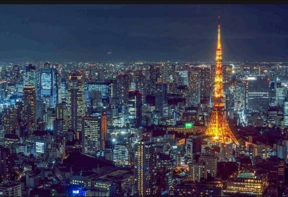 おやすみなさい🌛*゜✨