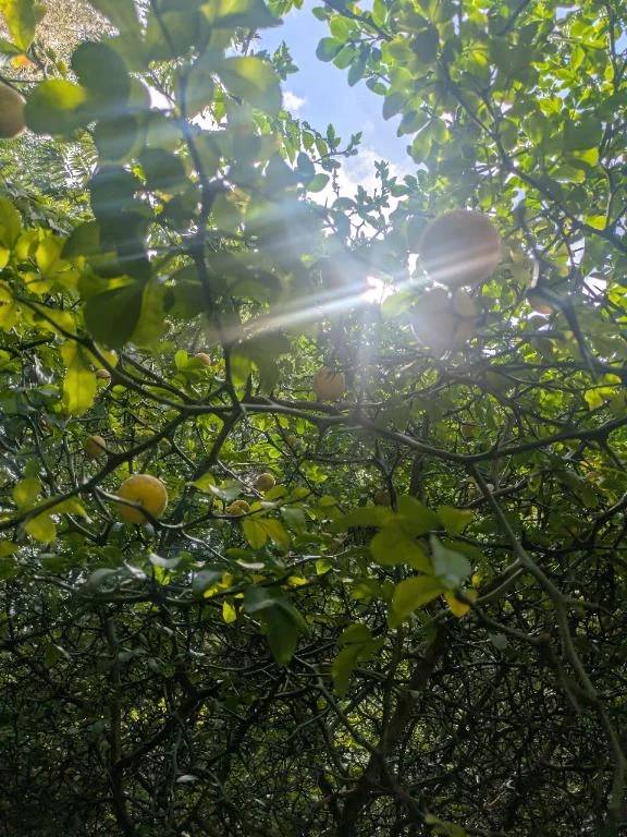 おはよう( ˶˙ᵕ˙˶ )☀️