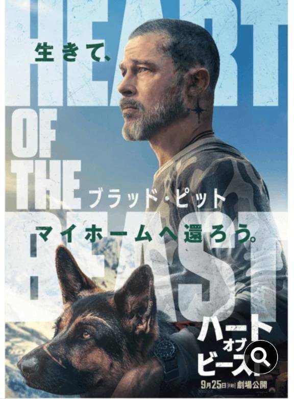 映画鑑賞🎥