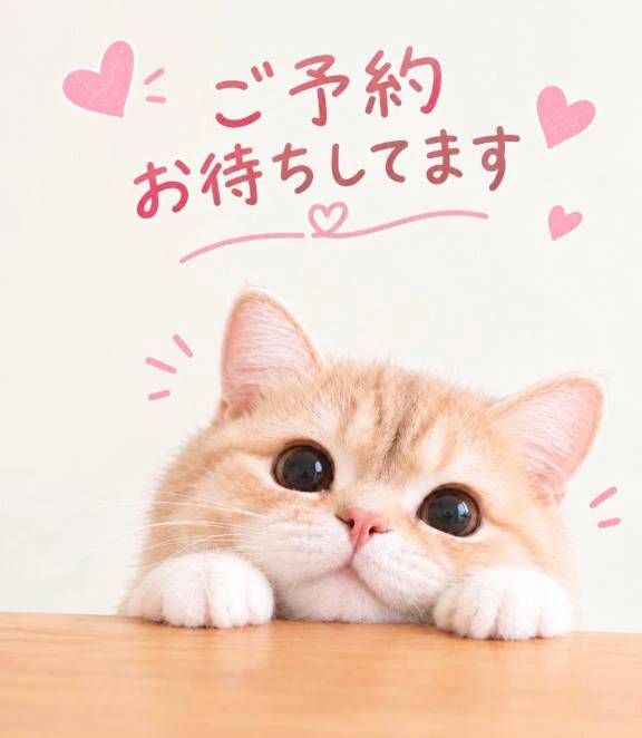 🌷初めまして様へ🌷