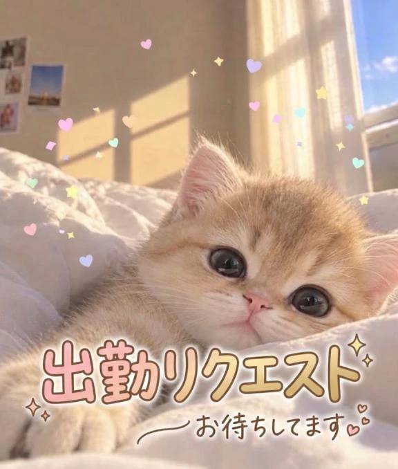 出勤リクエストお待ちしてます♡