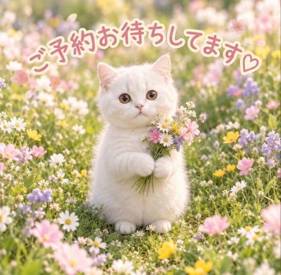 来月の出勤リクエストお待ちしてます♡