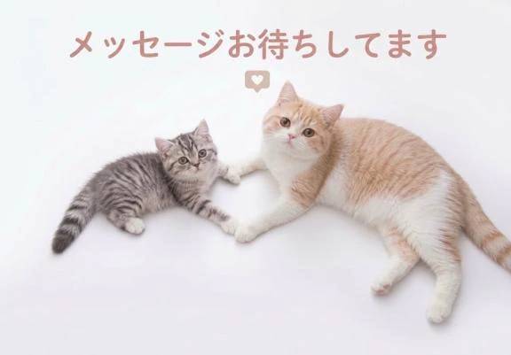 11月の出勤リクエストお待ちしてます🩷