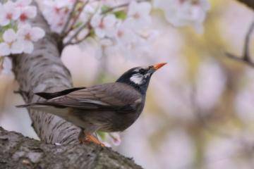 きょうもいちにち\( *´ω`* )/♪