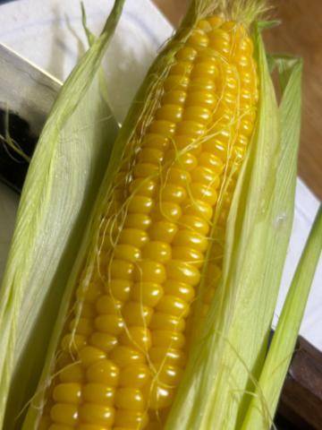 きみ🌽