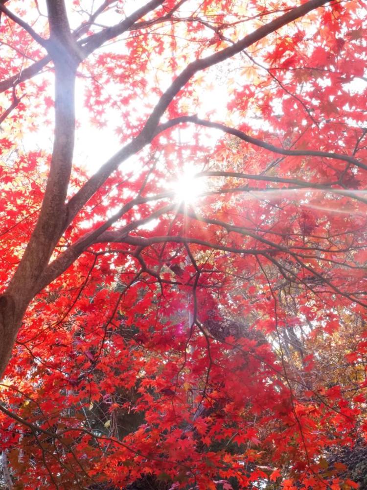 おはようございます☀️