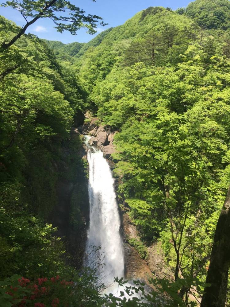 明日のように11時出勤予定の日は