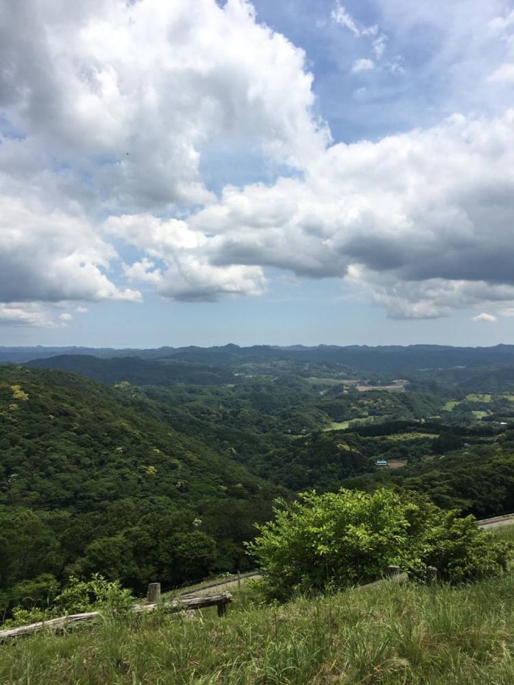 明日かあさって、どなたか私に