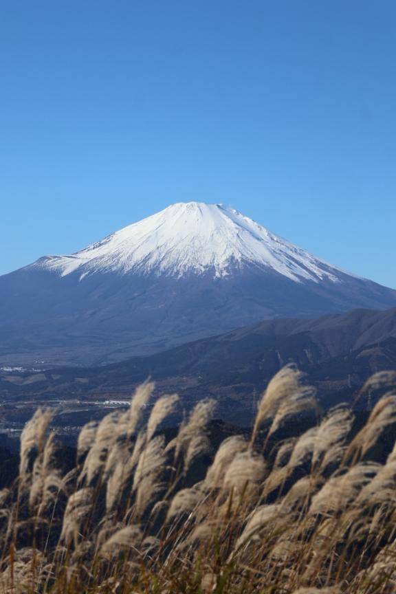 さぼっちとはつゆめ\( *´ω`* )/♪