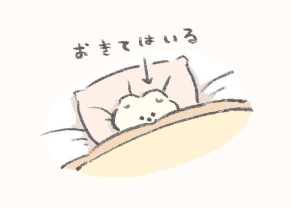 おかよおはよ\( *´ω`* )/♪