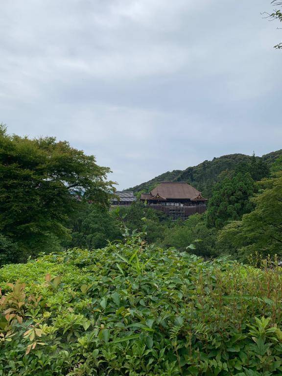 お久しぶりです！