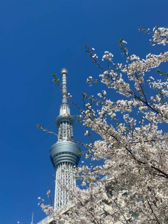 おはようございます☀️
