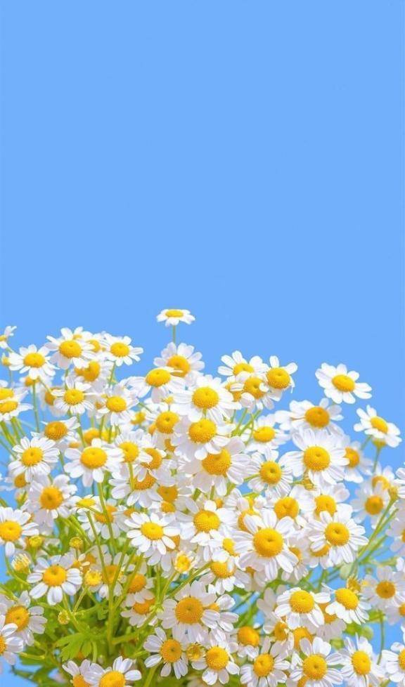 5月のスタートに💜