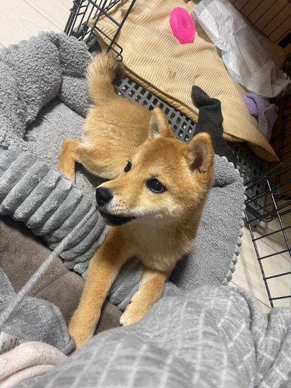 おはようございます