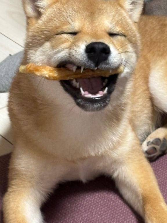 おはようございます😊