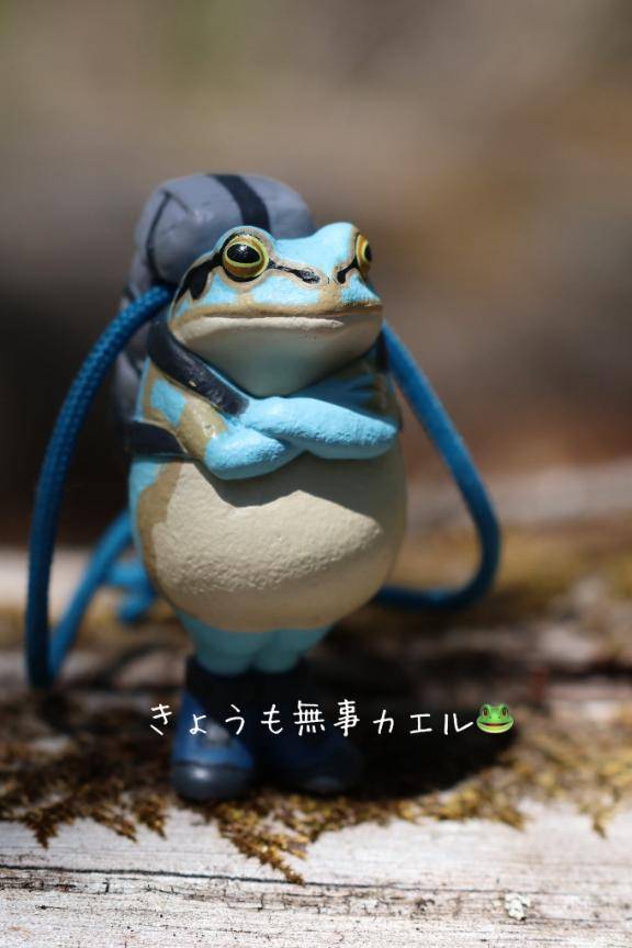 おかよおはよ\( *´ω`* )/♪
